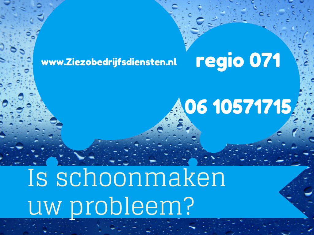 Is schoonmaken uw probleem-